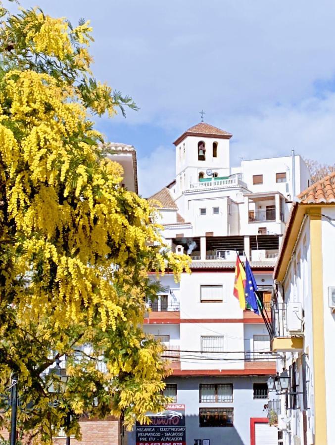 El Almendro De Maruja Apartment Torviscon Luaran gambar